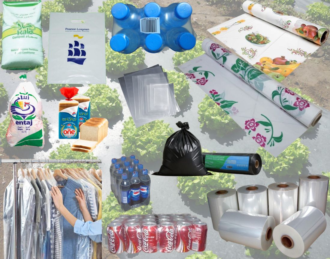 diverse packaging products tissue boxes paper cups containers arranged professionally, product photography